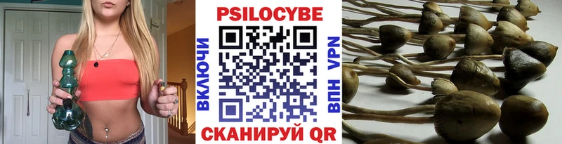 Купить где  Александровск-Сахалинский  Псилоцибиновые грибы мицелий 